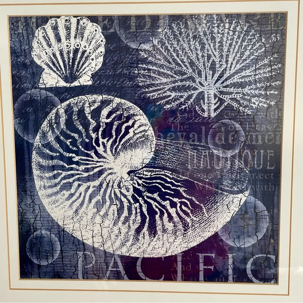 Navy Nautilus Shell brushed silver framed pictures set of two Made in the USA